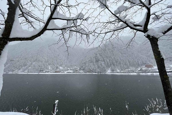 UstTur Grup - Murat USTA Travel