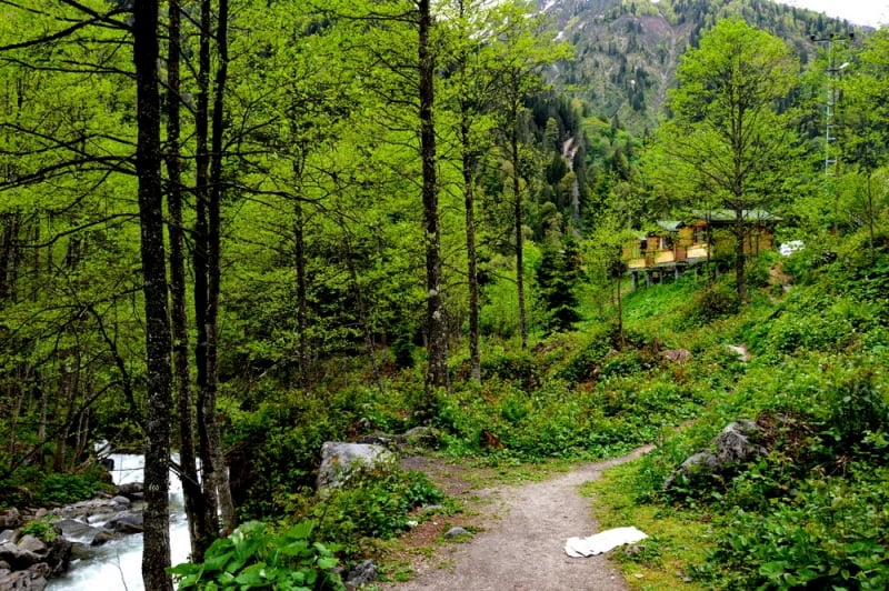 Ayder Kardelen Bungalov