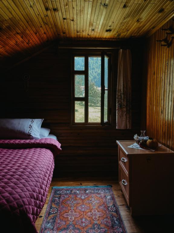 Kuşpuni Dağ Evleri