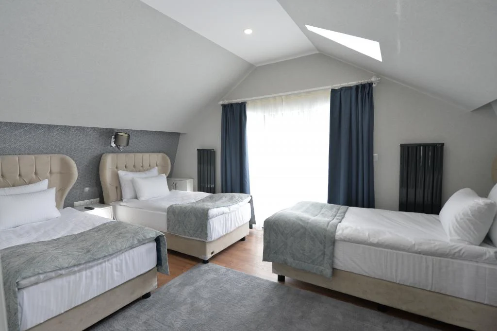 Ve Hotels Palandöken Villas