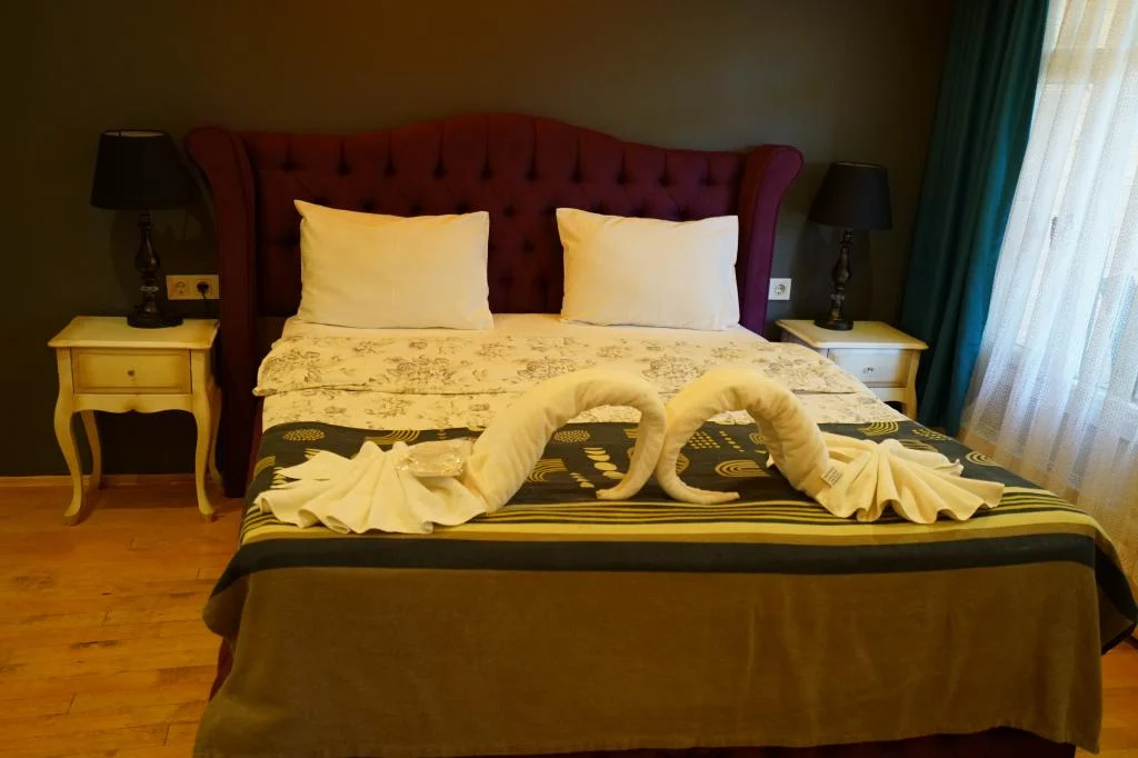 Alesta Butik Otel Ağva