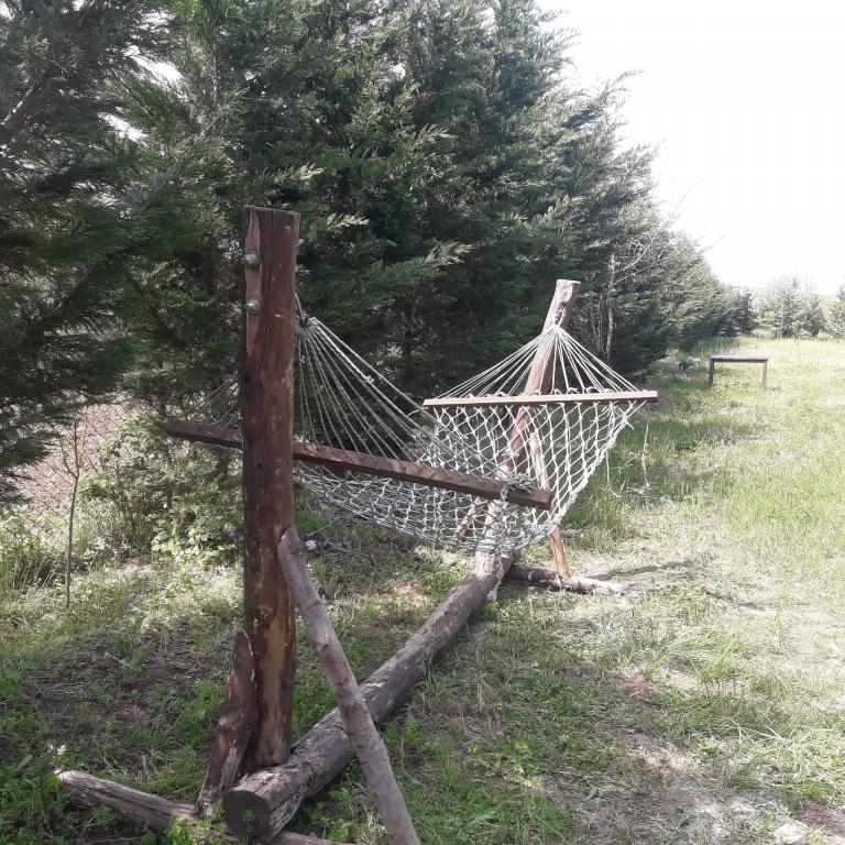 Vira Creek House Ağva