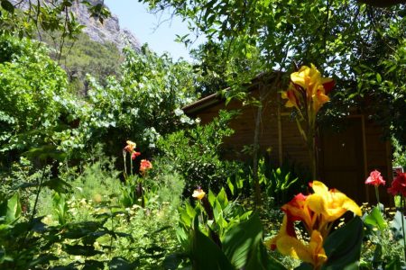 Olimpos Mercan Bungalow