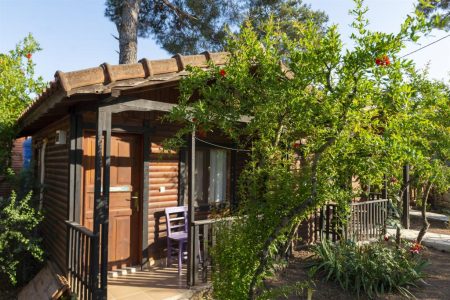 Koala Bungalows