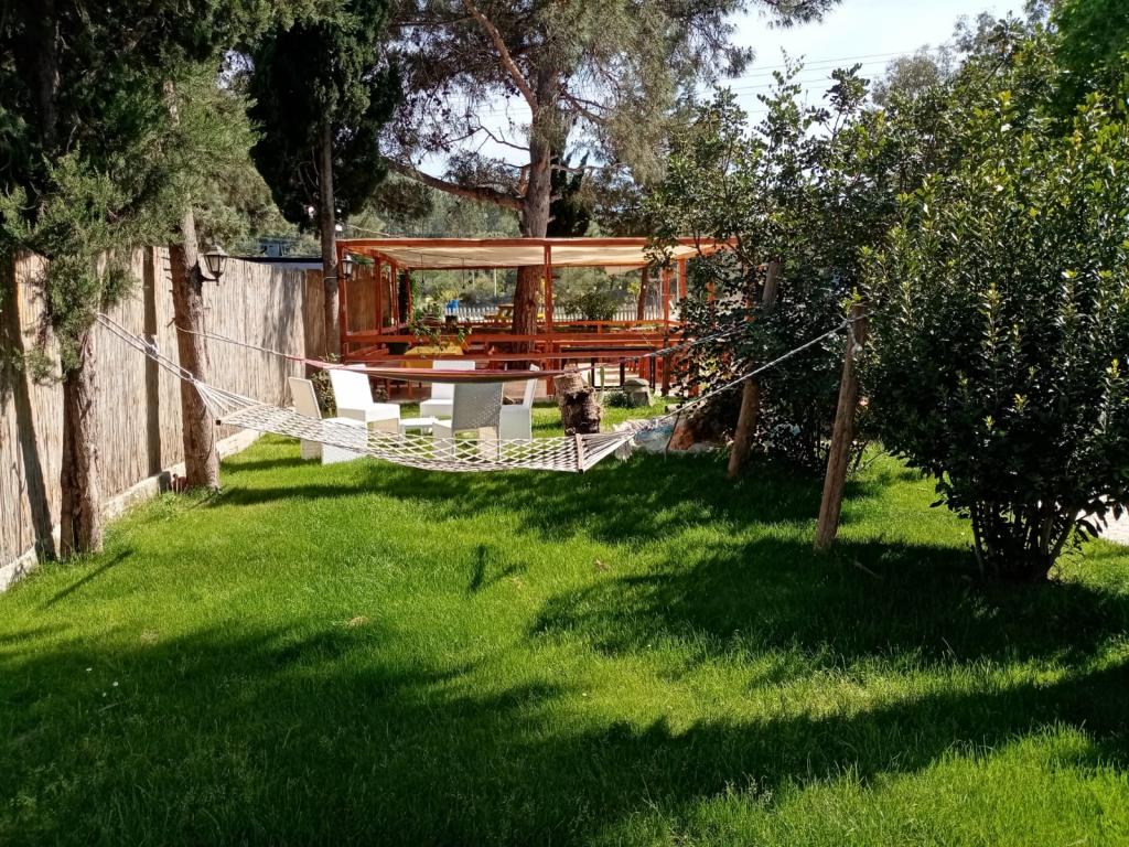 Captain Eudemos Olympos