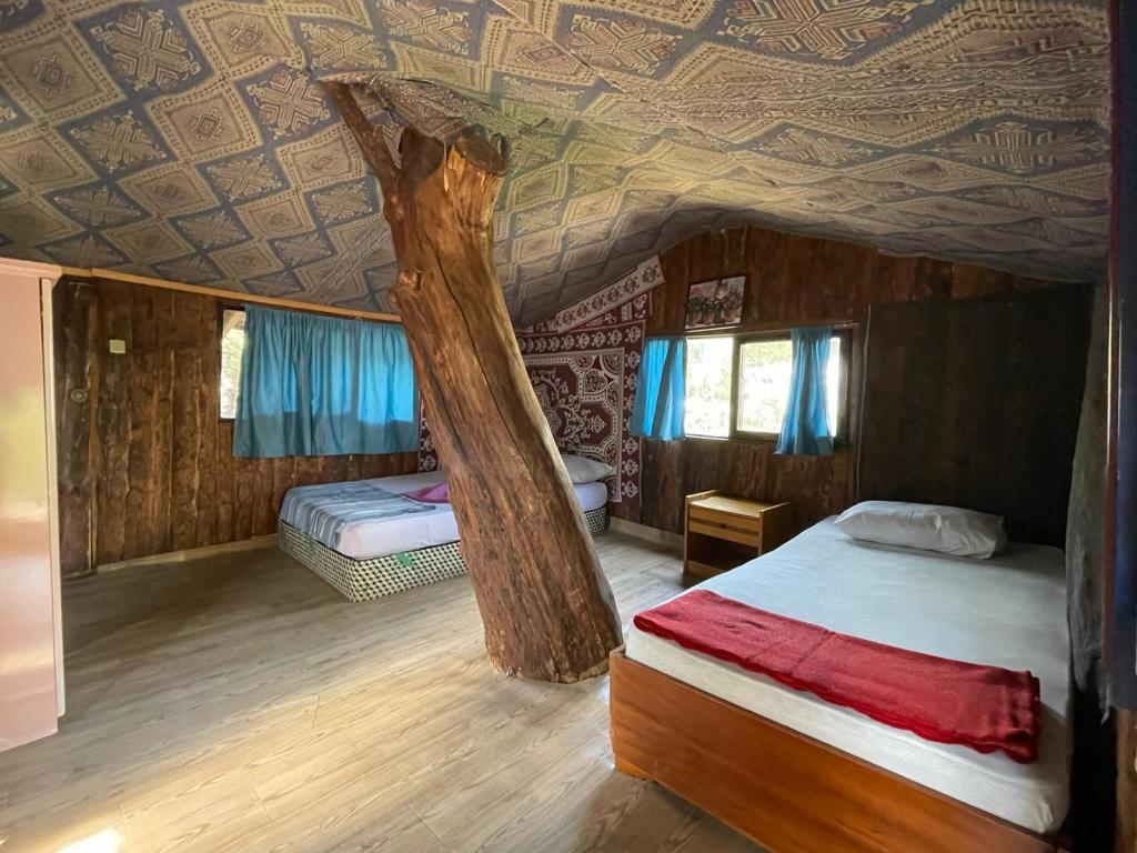 Olympos Inci Pansiyon