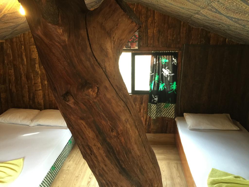 Olympos Inci Pansiyon