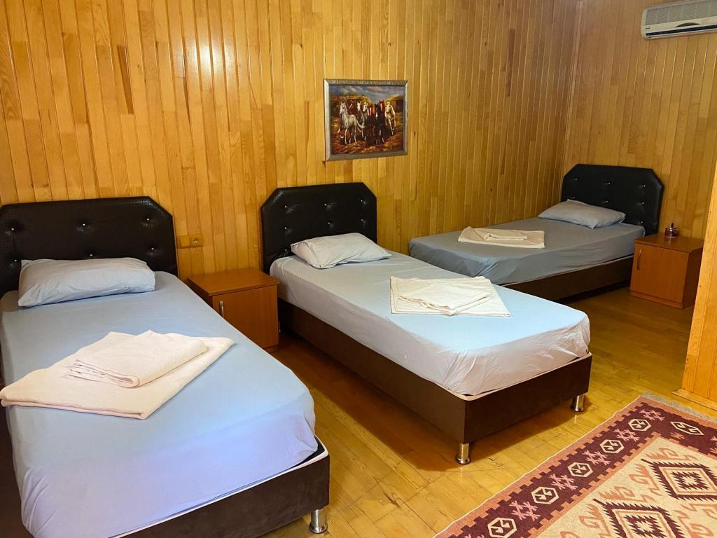 Divasa Hotel Olympos