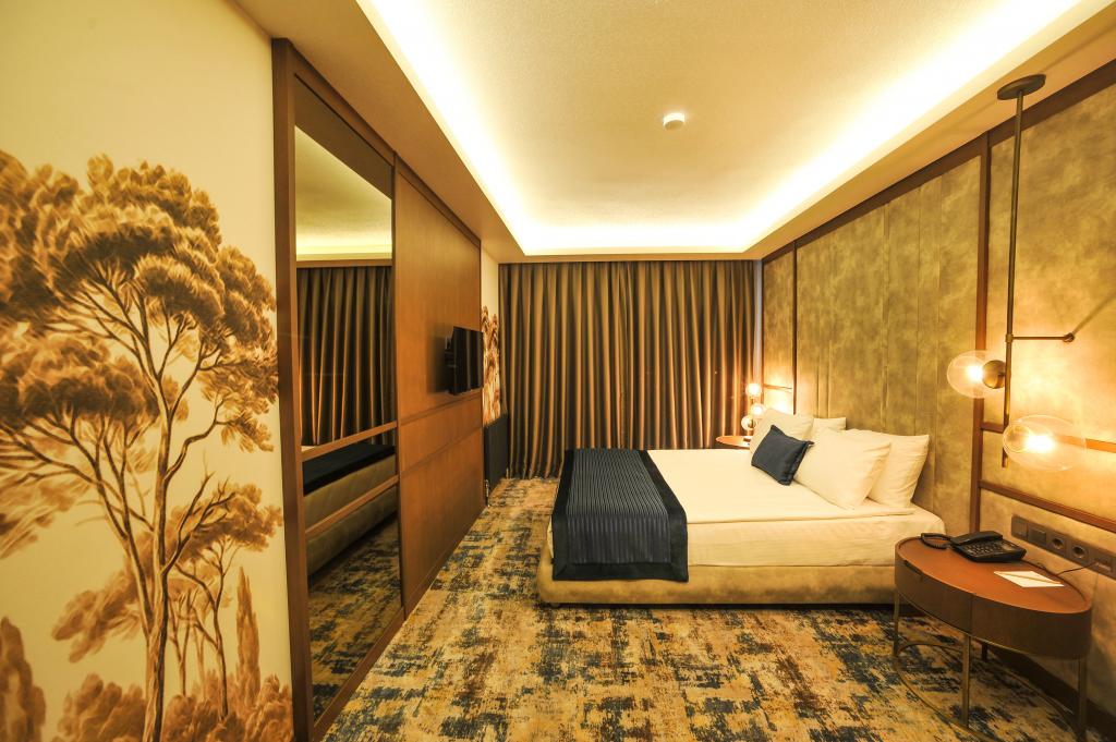 The Alpfine Hotel Ankara