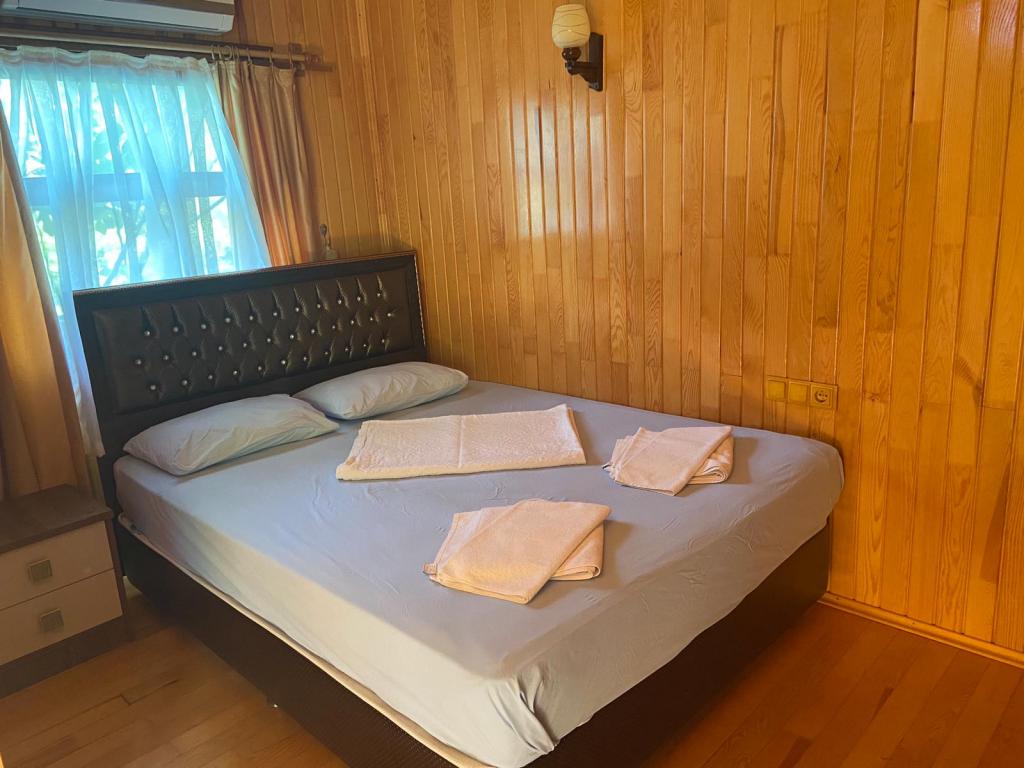 Divasa Hotel Olympos