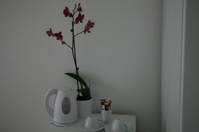 Gökçeada Anemos Hotel