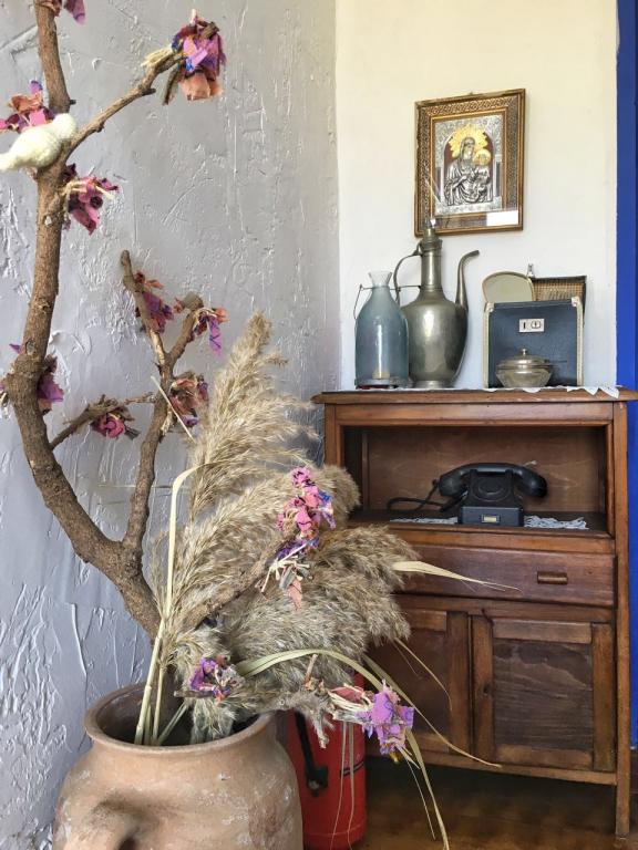 Dimitri Ada Evi & Restaurant