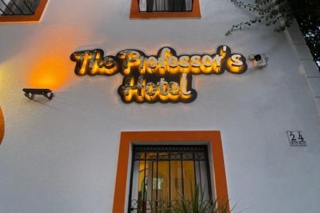 The Professors Hotel