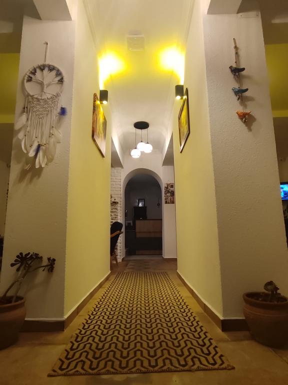 The Professors Hotel