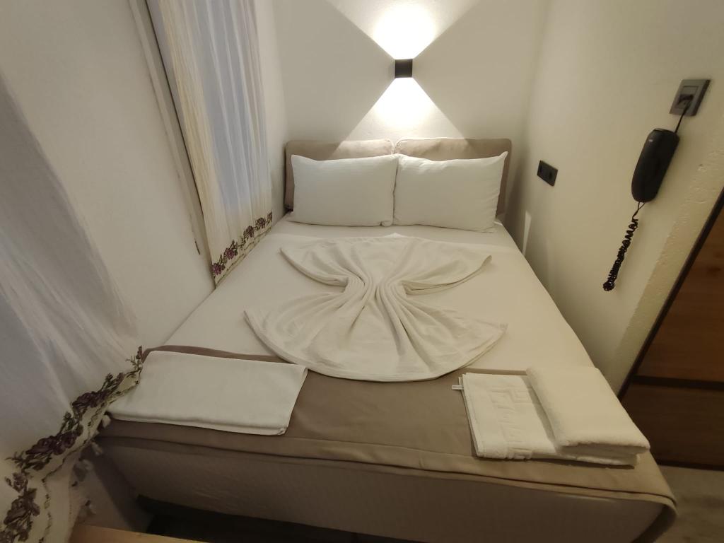 The Professors Hotel