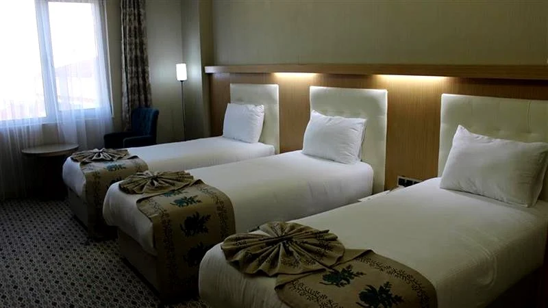 Grand Alin Hotel Turhal