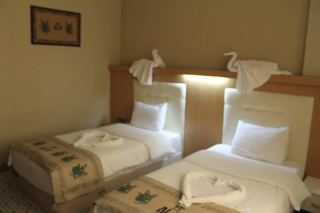 Grand Alin Hotel Turhal