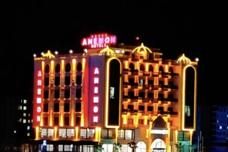 Anemon Mardin