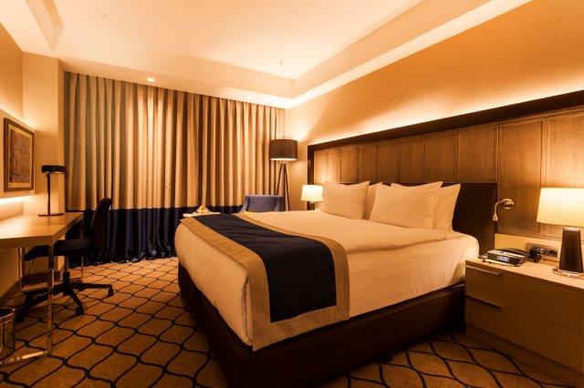 Holiday Inn Kayseri